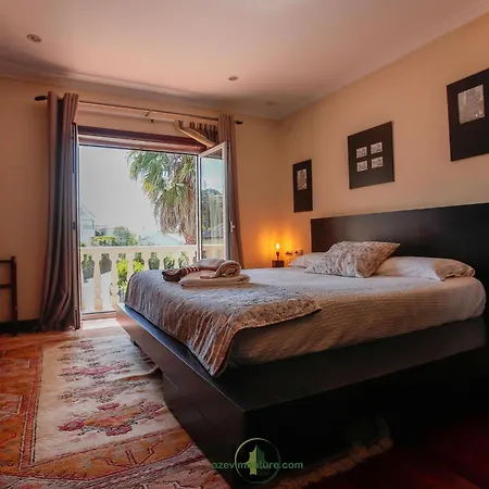 Casa Com Piscina Cinema Discoteca Ginasio